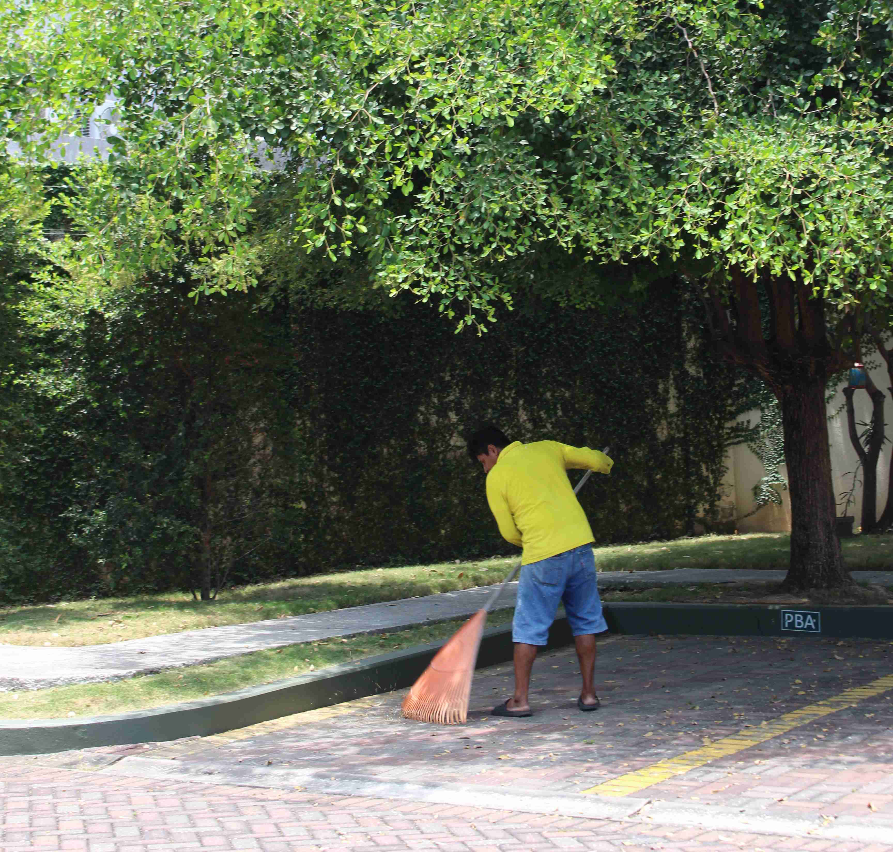 Servicio
